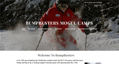 Desktop Screenshot of bumpbusters.com