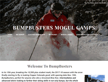 Tablet Screenshot of bumpbusters.com